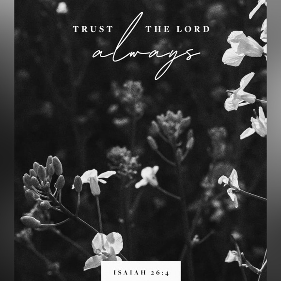 ||•🖤•|| - Picture 7 of 8